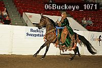 06buckeye_1071 thumbnail