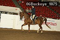 06buckeye_1075 thumbnail