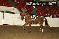 06buckeye_1077 thumbnail