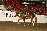 06buckeye_1079 thumbnail