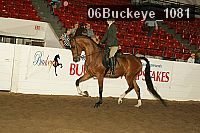 06buckeye_1081 thumbnail