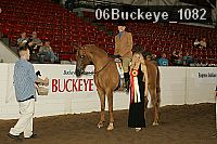 06buckeye_1082 thumbnail