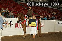 06buckeye_1083 thumbnail