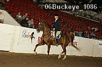 06buckeye_1086 thumbnail