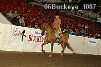 06buckeye_1087 thumbnail