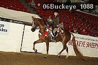 06buckeye_1088 thumbnail