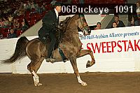 06buckeye_1091 thumbnail