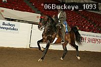 06buckeye_1093 thumbnail