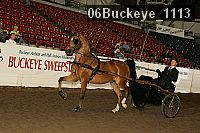 06buckeye_1113 thumbnail