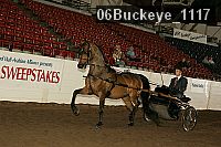 06buckeye_1117 thumbnail