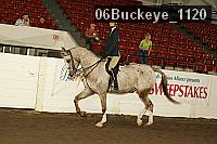 06buckeye_1120 thumbnail