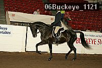 06buckeye_1121 thumbnail