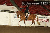 06buckeye_1123 thumbnail