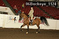 06buckeye_1124 thumbnail