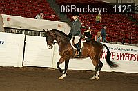 06buckeye_1125 thumbnail