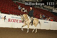 06buckeye_1133 thumbnail