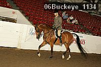 06buckeye_1134 thumbnail