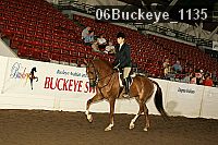 06buckeye_1135 thumbnail