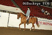 06buckeye_1136 thumbnail