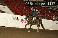 06buckeye_1137 thumbnail