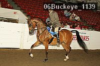 06buckeye_1139 thumbnail