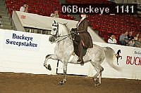 06buckeye_1141 thumbnail