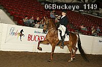 06buckeye_1149 thumbnail