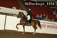 06buckeye_1154 thumbnail