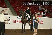 06buckeye_1155 thumbnail