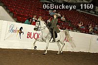 06buckeye_1160 thumbnail