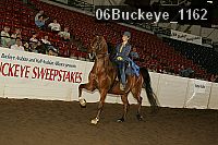 06buckeye_1162 thumbnail