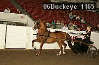 06buckeye_1165 thumbnail