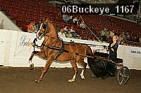 06buckeye_1167 thumbnail