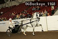 06buckeye_1168 thumbnail