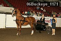 06buckeye_1171 thumbnail