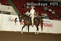 06buckeye_1175 thumbnail