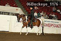 06buckeye_1176 thumbnail