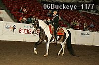06buckeye_1177 thumbnail