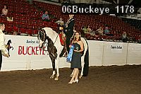 06buckeye_1178 thumbnail