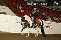 06buckeye_1179 thumbnail
