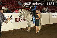 06buckeye_1181 thumbnail