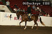 06buckeye_1184 thumbnail