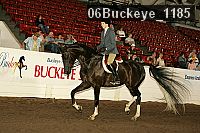 06buckeye_1185 thumbnail