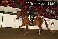 06buckeye_1186 thumbnail