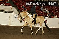 06buckeye_1187 thumbnail