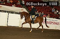 06buckeye_1188 thumbnail