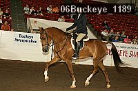 06buckeye_1189 thumbnail