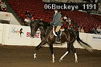 06buckeye_1191 thumbnail