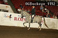 06buckeye_1192 thumbnail