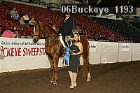 06buckeye_1193 thumbnail